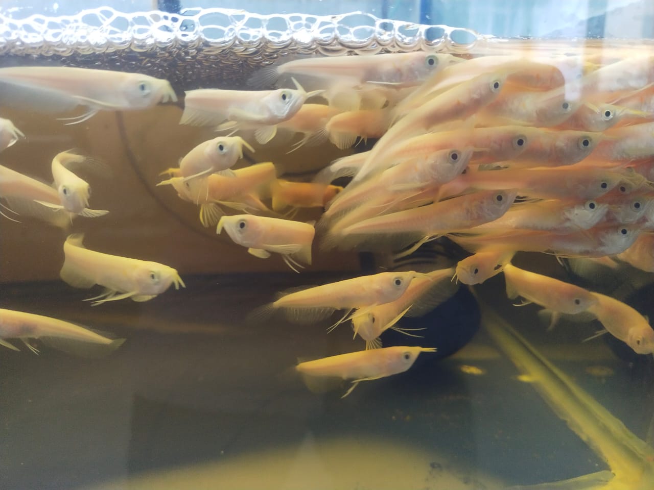 WhatsApp Image 2025-05-26 at 14.33.45 (1)