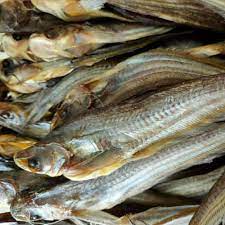 ikan asin lais 5