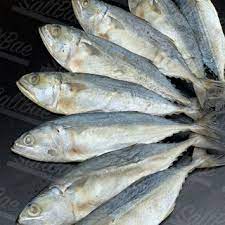 ikan kembung asin 6