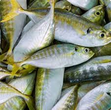 ikan selar 5